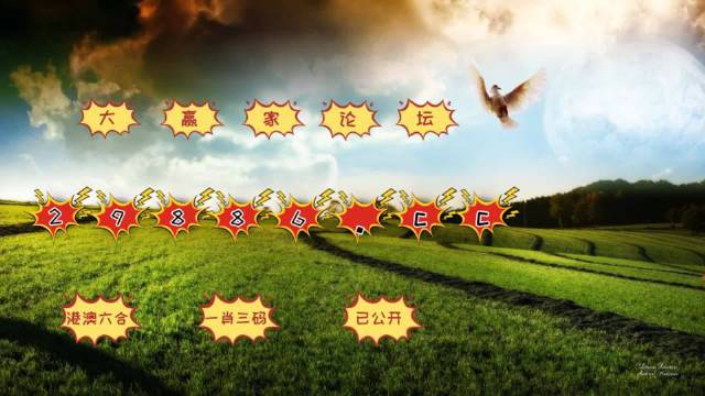 2025年澳门天天开彩，全面解答解释落实_k549.57.97