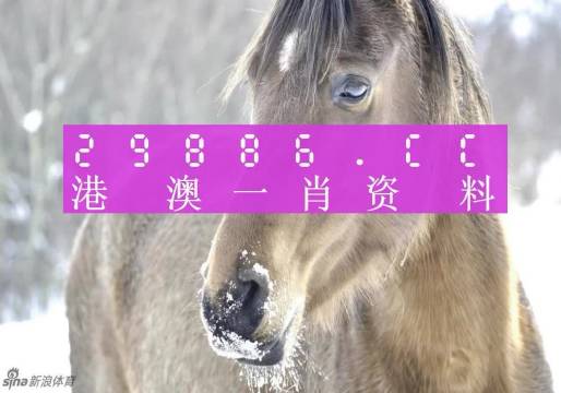 澳门一肖一码100%准确，构建解答解释落实_b3c57.28.51
