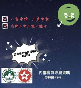 澳门王中王100%的资料一肖准，综合解答解释落实_a5q62.30.68