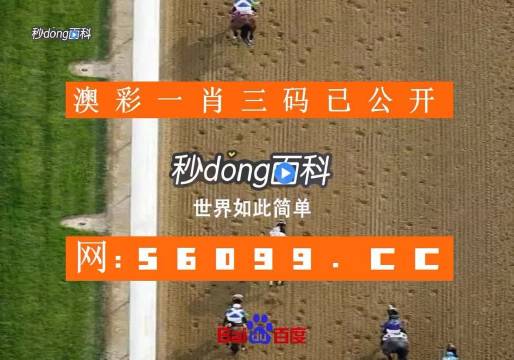 白小姐四肖四码100%准，科学解答解释落实_rk650.48.09