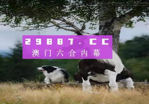 澳门跑狗316969，实证解答解释落实_grk38.38.20