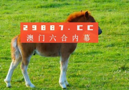 新澳彩一肖一码一中一肖，实证解答解释落实_0e11.71.51