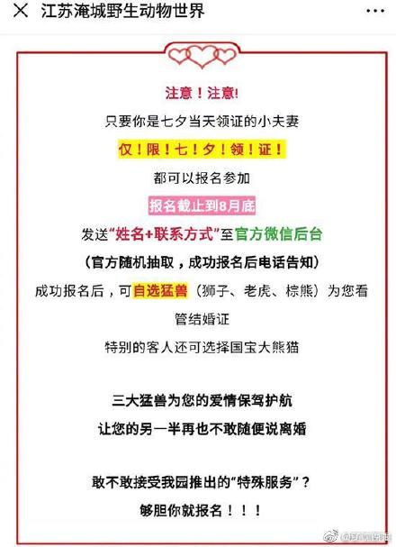 2019香港跑狗图随便说说，构建解答解释落实_kim24.31.66