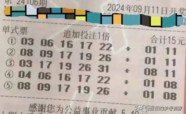 黄大仙资料一码中持2025，统计解答解释落实_j732.82.83