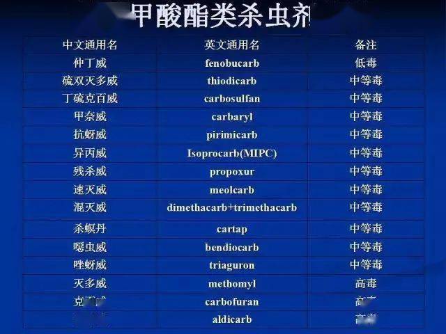 热文 第34页