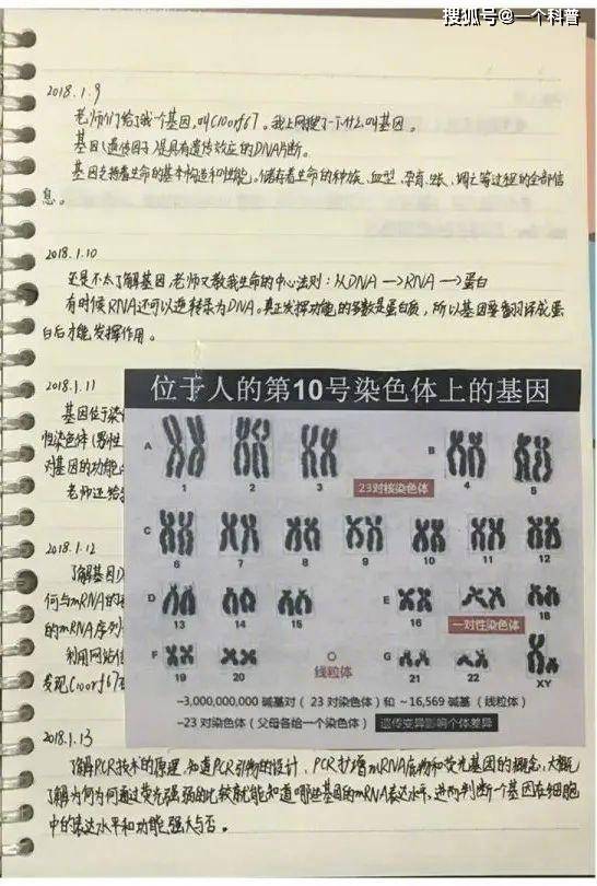 澳彩一码一肖一特一中，构建解答解释落实_vja93.48.43
