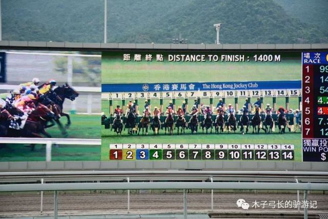 2025香港赛马全年免费资料，全面解答解释落实_2g53.42.82