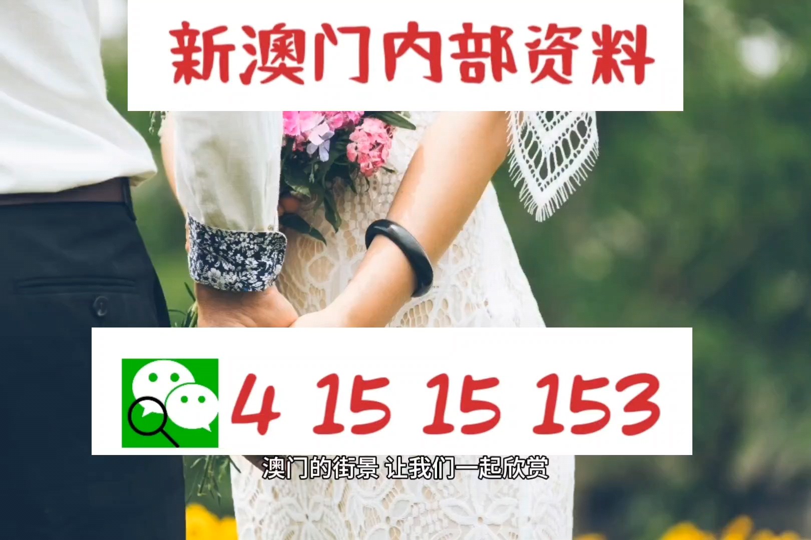2025澳门精准正版免费大全，专家解答解释落实_qa39.13.53