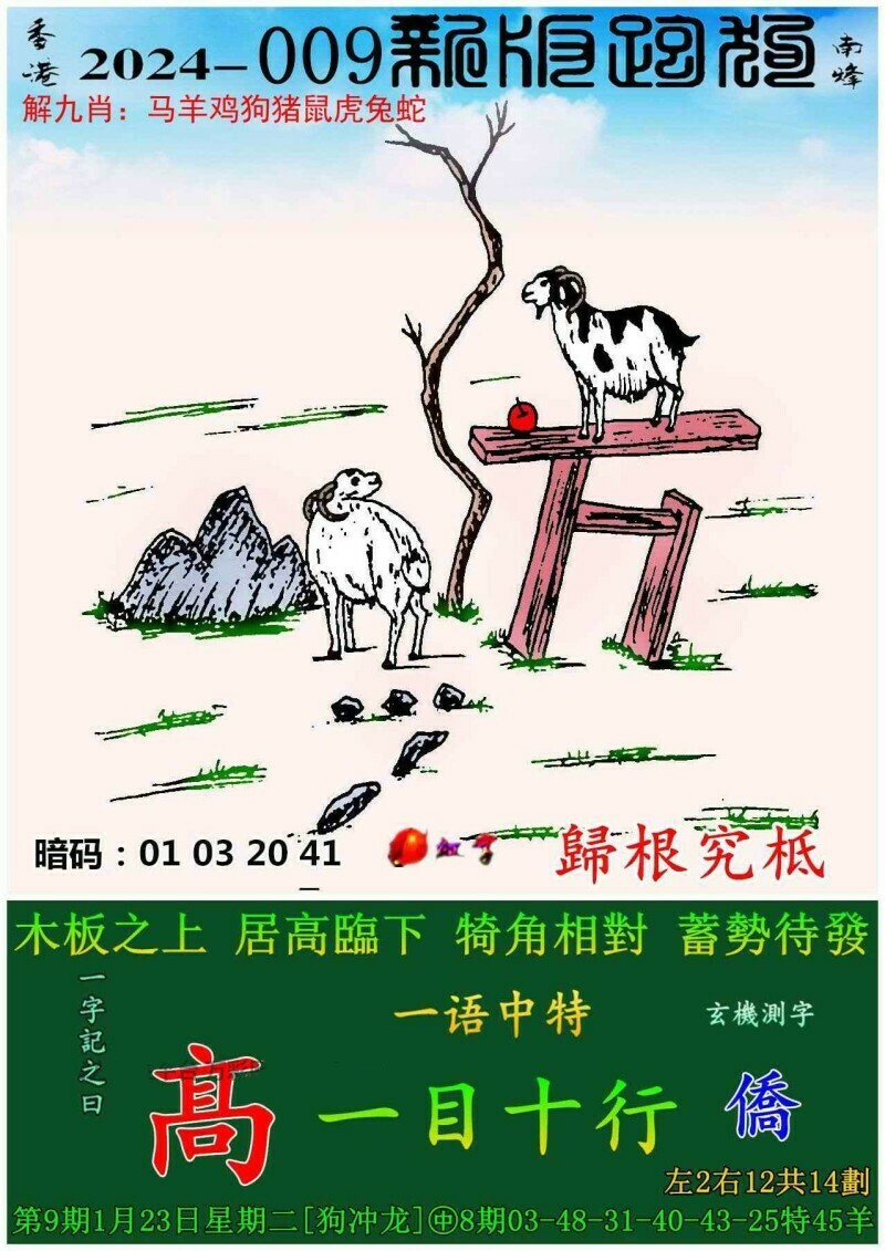 376969香港跑狗图论坛，科学解答解释落实_n873.14.23