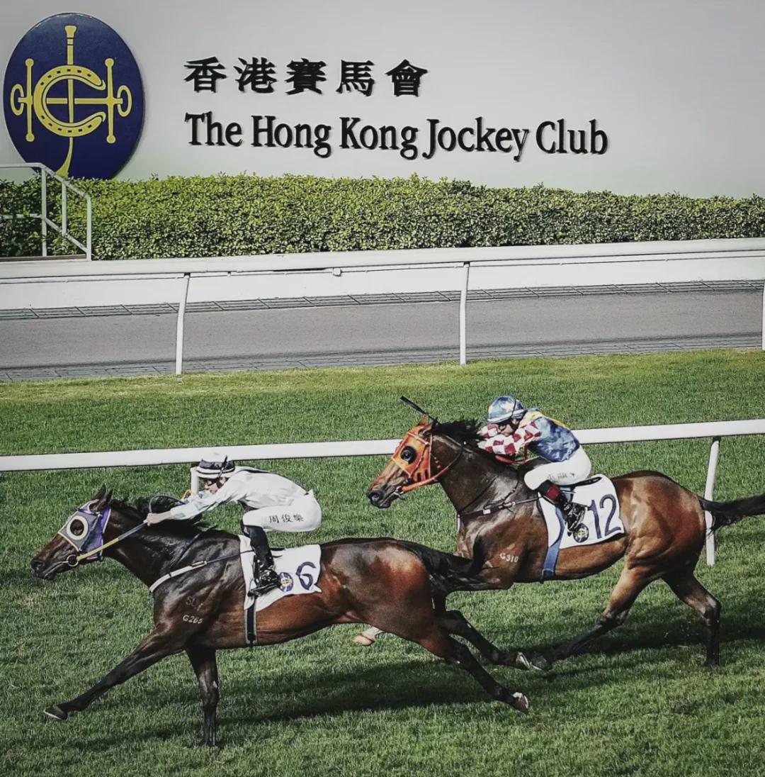 香港马赛马会最准资料，构建解答解释落实_nw63.58.34